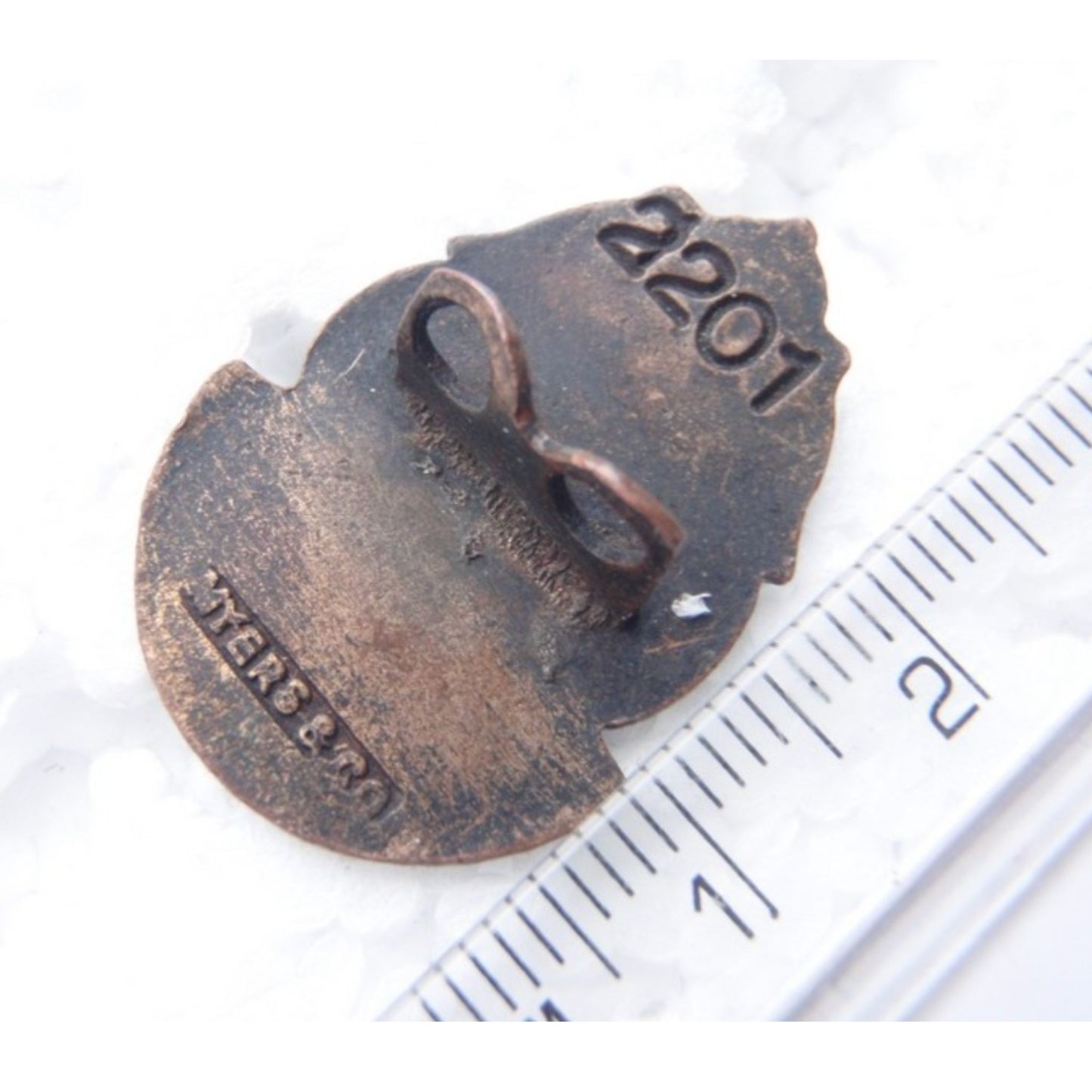 WW1 Queensland Incapacitated & Wounded sailors & Soldiers Association pin