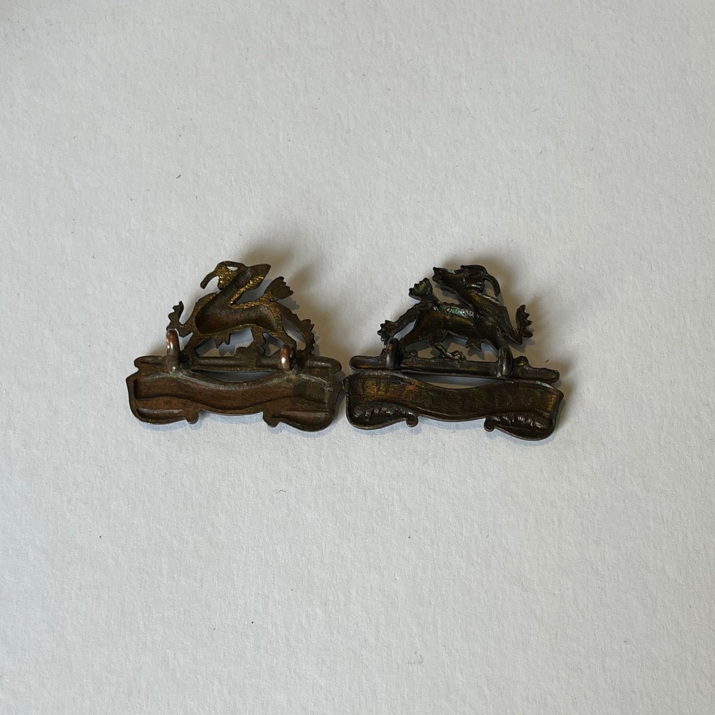 Royal Berkshire Officers collar badges