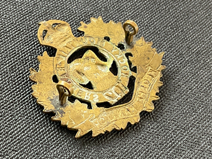 Canadian 102nd Rocky Mountain Rangers ( kloshe Manitch) cap badge.